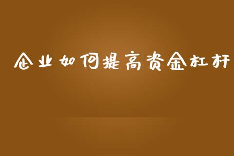 企业如何提高资金杠杆_https://wap.lcjysmgs.com_元宇宙_第1张