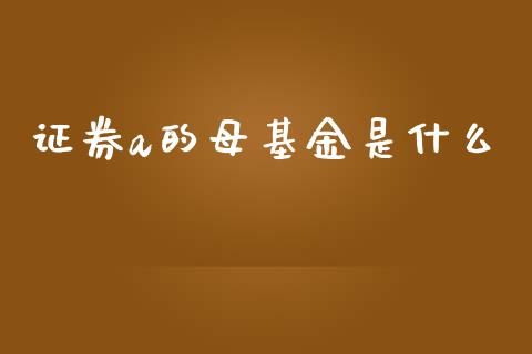 证券a的母基金是什么_https://wap.lcjysmgs.com_债券基金_第1张