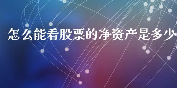 怎么能看股票的净资产是多少_https://wap.lcjysmgs.com_债券基金_第1张