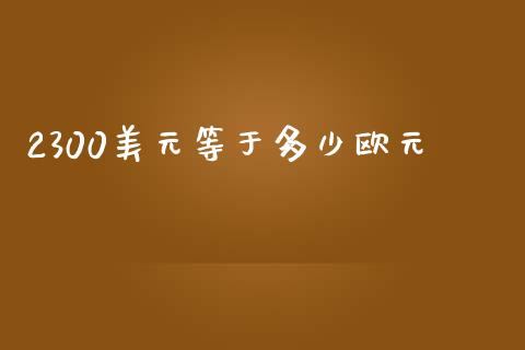 2300美元等于多少欧元_https://wap.lcjysmgs.com_债券基金_第1张