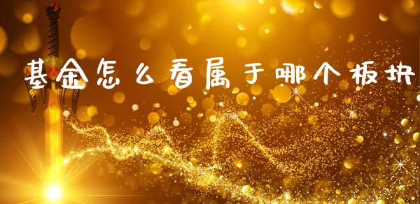 基金怎么看属于哪个板块_https://wap.lcjysmgs.com_原油期货_第1张