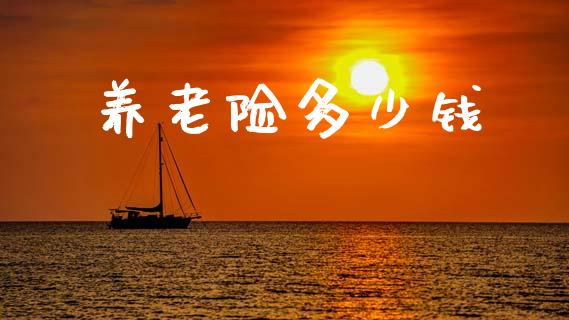 养老险多少钱_https://wap.lcjysmgs.com_债券基金_第1张