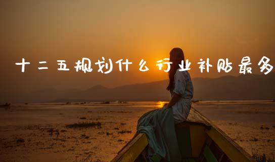 十二五规划什么行业补贴最多_https://wap.lcjysmgs.com_元宇宙_第1张