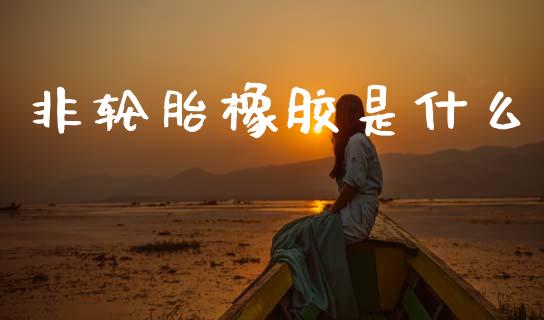非轮胎橡胶是什么_https://wap.lcjysmgs.com_原油期货_第1张