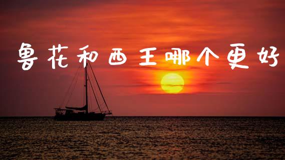 鲁花和西王哪个更好_https://wap.lcjysmgs.com_金融交易_第1张