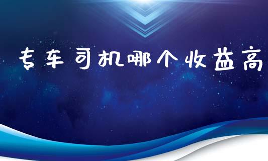 专车司机哪个收益高_https://wap.lcjysmgs.com_元宇宙_第1张