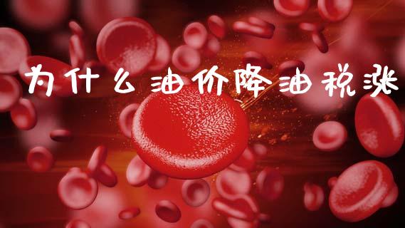 为什么油价降油税涨_https://wap.lcjysmgs.com_原油期货_第1张