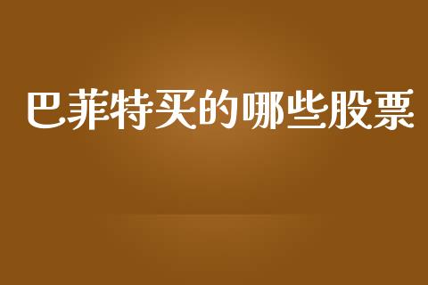 巴菲特买的哪些股票_https://wap.lcjysmgs.com_债券基金_第1张