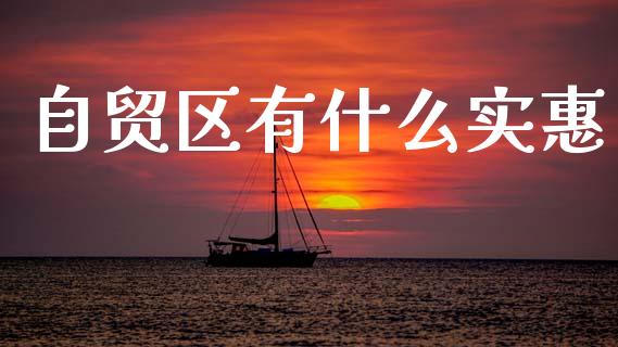 自贸区有什么实惠_https://wap.lcjysmgs.com_原油期货_第1张