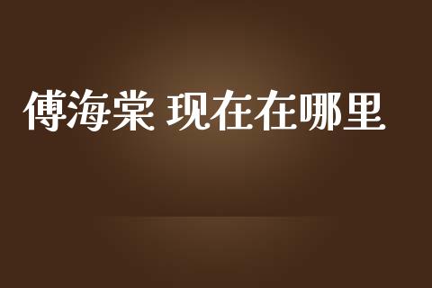 傅海棠 现在在哪里_https://wap.lcjysmgs.com_原油期货_第1张