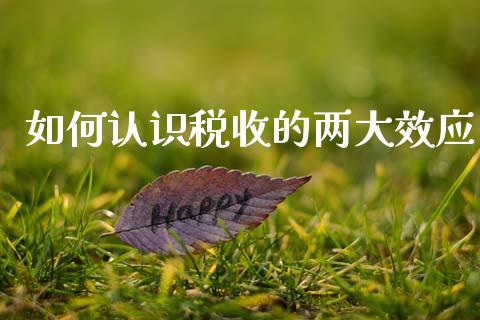 如何认识税收的两大效应_https://wap.lcjysmgs.com_债券基金_第1张