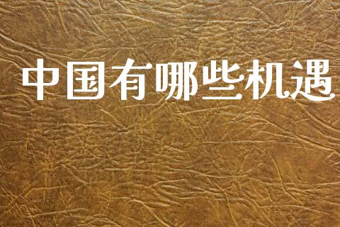中国有哪些机遇_https://wap.lcjysmgs.com_元宇宙_第1张