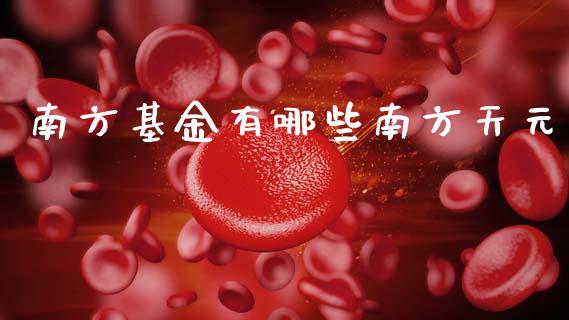 南方基金有哪些南方天元_https://wap.lcjysmgs.com_元宇宙_第1张