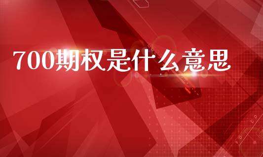 700期权是什么意思_https://wap.lcjysmgs.com_债券基金_第1张