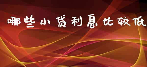 哪些小贷利息比较低_https://wap.lcjysmgs.com_原油期货_第1张