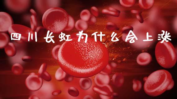 四川长虹为什么会上涨_https://wap.lcjysmgs.com_债券基金_第1张