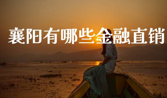 襄阳有哪些金融直销_https://wap.lcjysmgs.com_债券基金_第1张