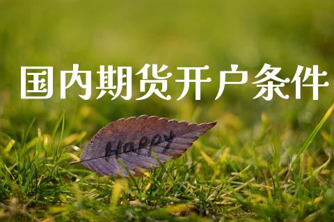 国内期货开户条件_https://wap.lcjysmgs.com_债券基金_第1张