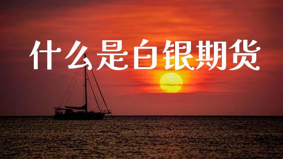 什么是白银期货_https://wap.lcjysmgs.com_元宇宙_第1张