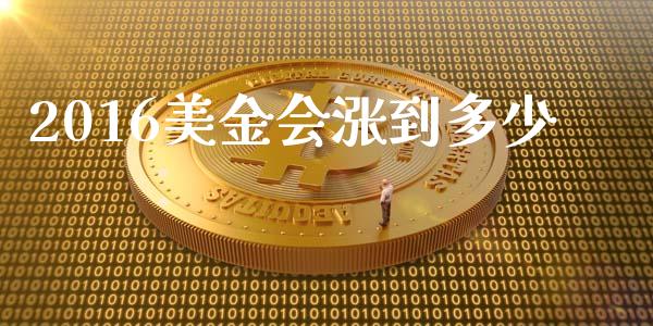 2016美金会涨到多少_https://wap.lcjysmgs.com_债券基金_第1张