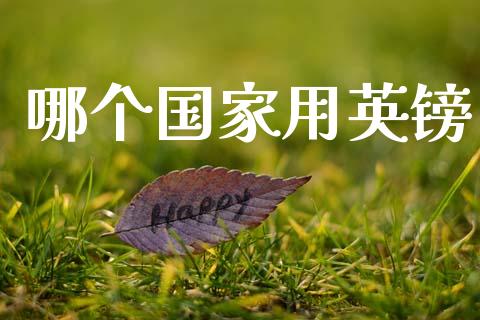 哪个国家用英镑_https://wap.lcjysmgs.com_金融交易_第1张